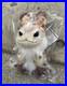 2025_Star_Wars_Celebration_Japan_Exclusive_Hot_Toys_Stereo_Plush_Loth_Cat_01_ggzv