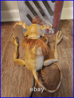 Disney Star Wars Salacious B. Crumb Monkey Lizard Shoulder Figure Galaxys Edge