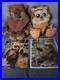 LOT_Star_Wars_Return_of_the_Jedi_Wicket_Warrick_Ewok_Plush_Warwick_Davis_pix_01_yxeq