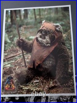 LOT Star Wars Return of the Jedi Wicket Warrick Ewok Plush + Warwick Davis pix LOT Star Wars Return of the Jedi Wicket Warrick Ewok Plush + Warwick Davis pix