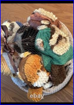 STAR WARS Ewok Celebration Limited Edition Plush Set /Basket Star Wars 9 NWT