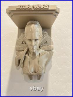 Star Wars 10 pcs Wall Shelf Collection Darth Vader Luke Skywalker Stormtrooper