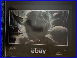 Star Wars Celebration limited art print There is no Try Tim Proctor LE 250 Yoda