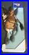 Star_Wars_Episode_I_Phantom_Menace_Vtg_Watto_Pepsi_Cardboard_Standee_Display_67_01_fqe