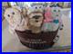 Star_Wars_Ewok_Celebration_Limited_Edition_1000_Plush_Set_Basket_Star_Wars_9_01_xph